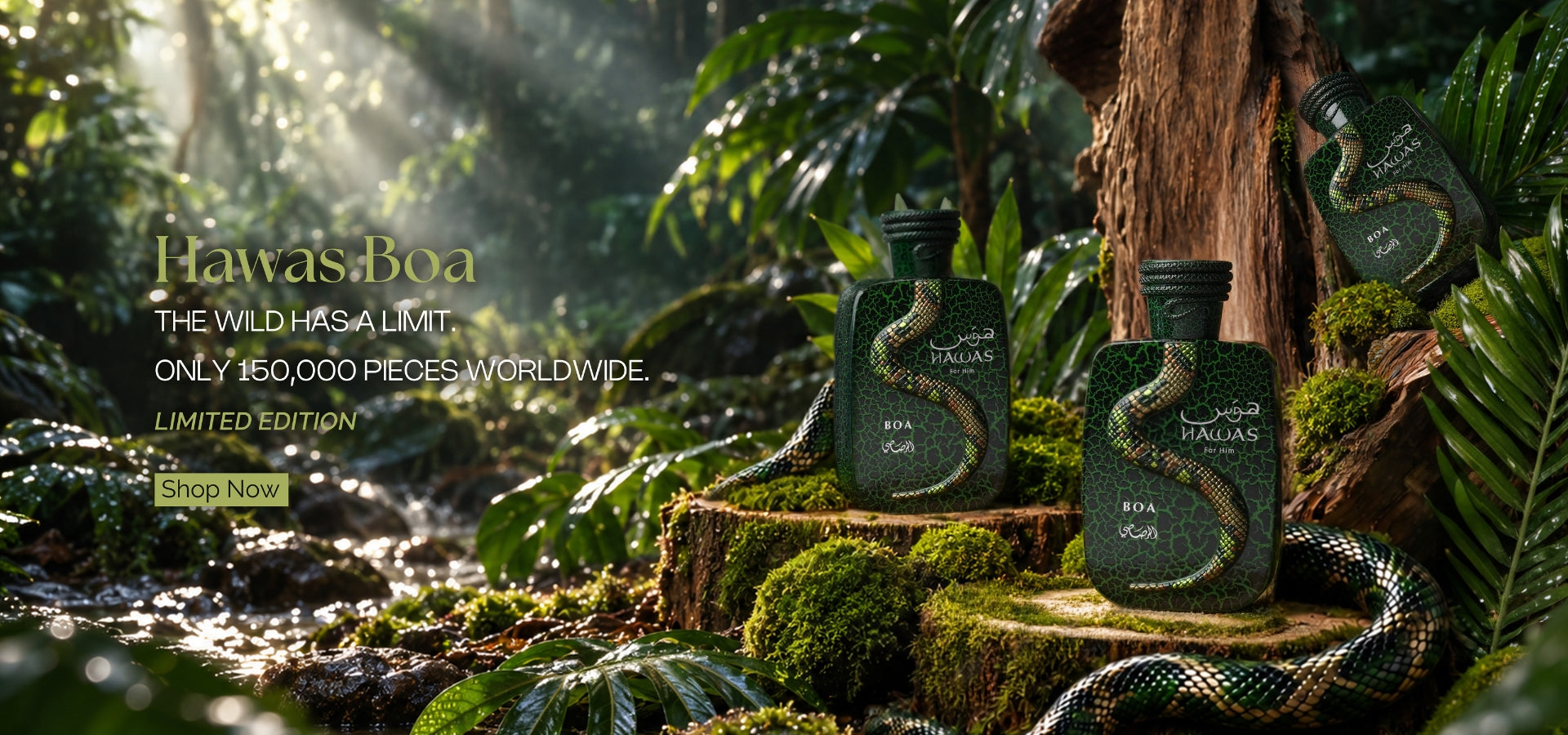 Rasasi Perfumes | Perfume Store in UAE | Online Fragrance Shop