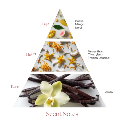 فخامة الشهرة