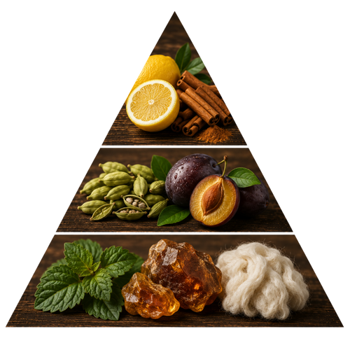 hawas-for-him pyramid image