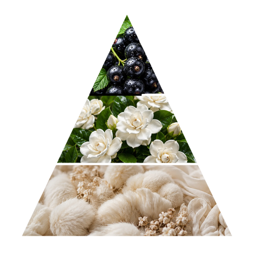 hums-al-zohoor-whitessence pyramid image