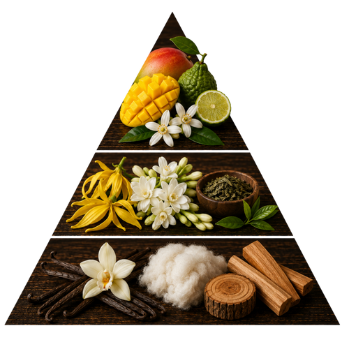 rafan-for-her pyramid image