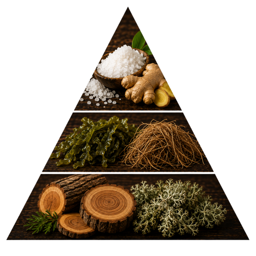 rafan-for-him pyramid image