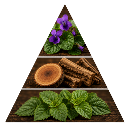rumz-al-zebra-pour-elle-for-women pyramid image
