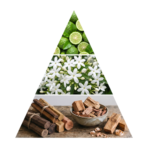 safina-edp-100-ml pyramid image