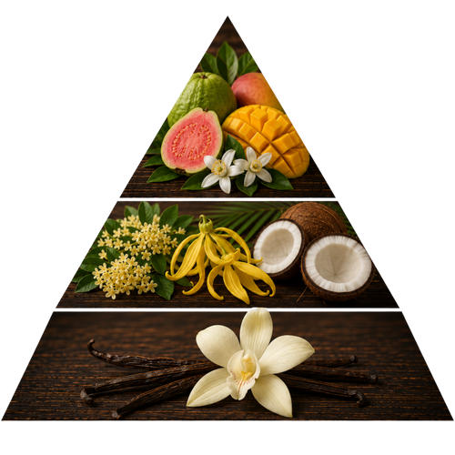 shuhrah-opulence pyramid image
