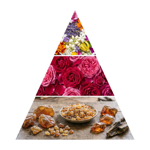 talcum-powder-romance-women pyramid image