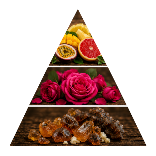 ward-noir pyramid image