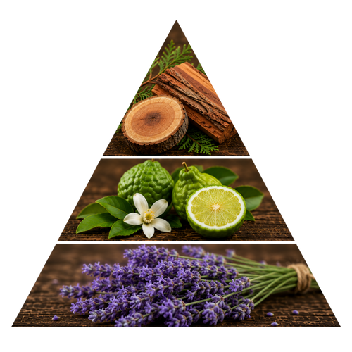 yumn-pour-homme pyramid image