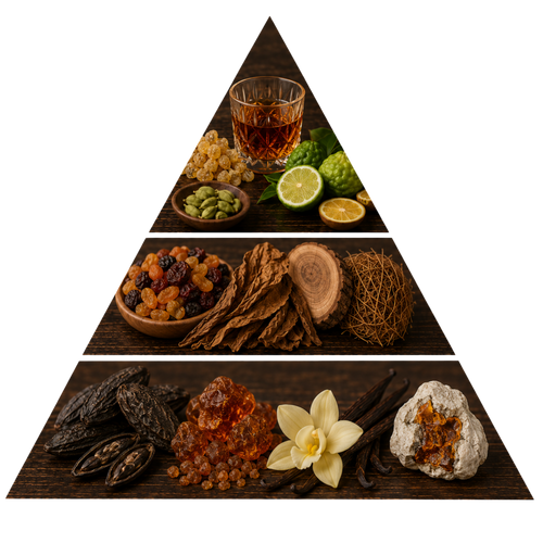 zaad-pour-homme pyramid image