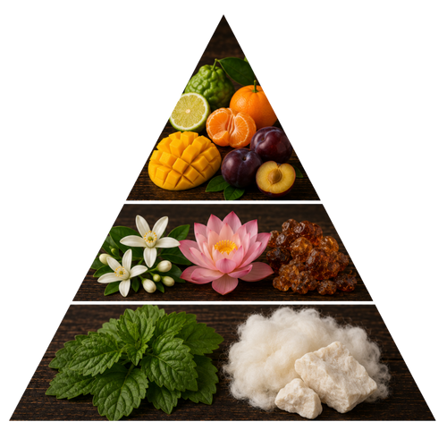 zeya-pour-femme pyramid image